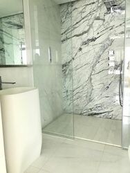 The Scotts Tower (D9), Condominium #396822861